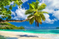 /album/fotky-barbados/barbados-jamajkanita-61-jpg/